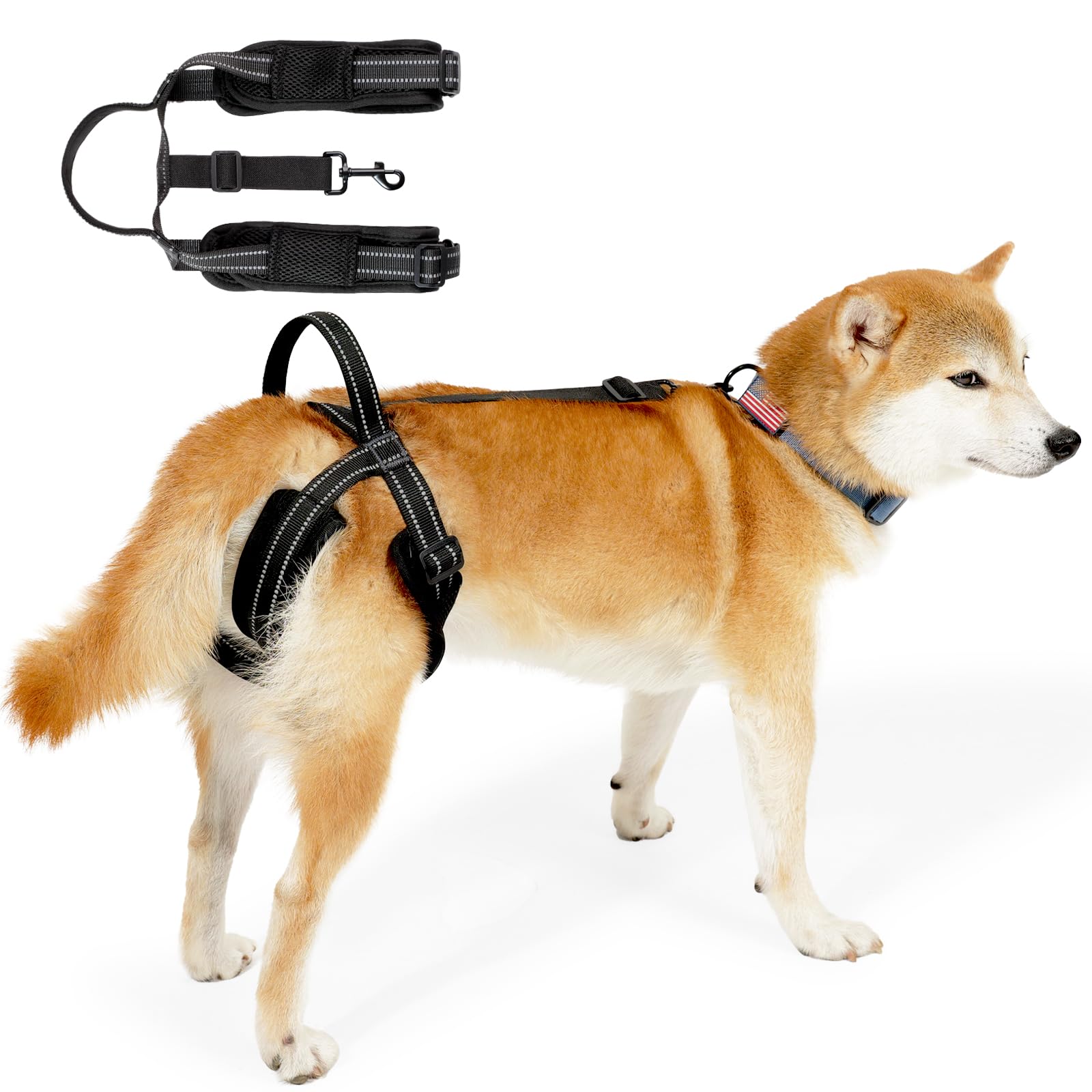 Qpets Dog Lift Harness Rear Leg Use Lifting Harness for Dog Rear Legs Support Adjustable Length and Size Rear Legs Walking Assistant Dog Leg Support for Aging Dog, Disabled, Injured Dog(Size, M) Qpets Dog Lift Harness Rear Leg Use Lifting Harness for Dog Rear Legs Support Adjustable Length and Size Rear Legs Walking Assistant Dog Leg Support for Aging Dog, Disabled, Injured Dog(Size, M)